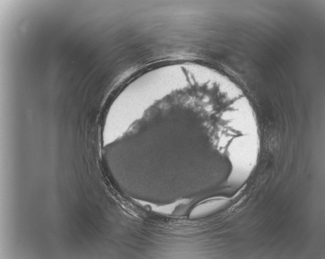 X0000058781171200510282003