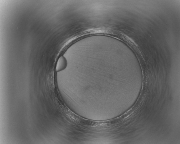 X0000058781174200510282003