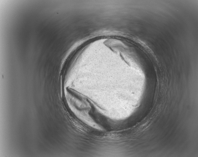 X0000058781175200510282003