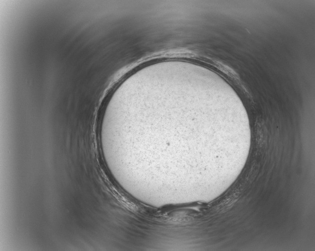 X0000058781176200510282003