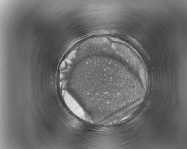 X0000058781178200510282003