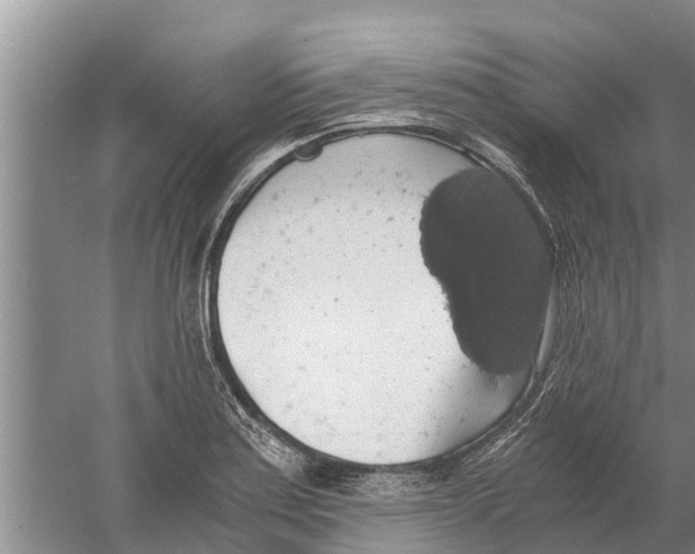 X0000058781179200510282003