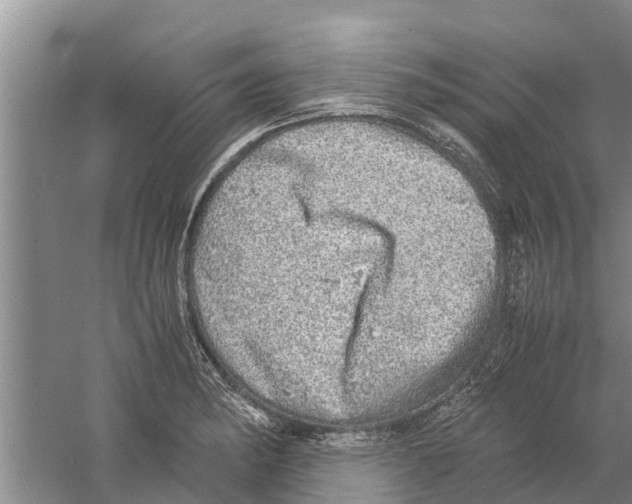 X0000058781182200510282003