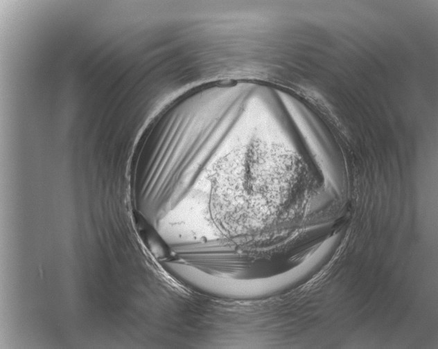 X0000058781184200510282003