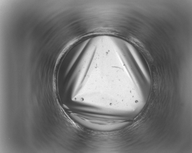 X0000058781188200510282003