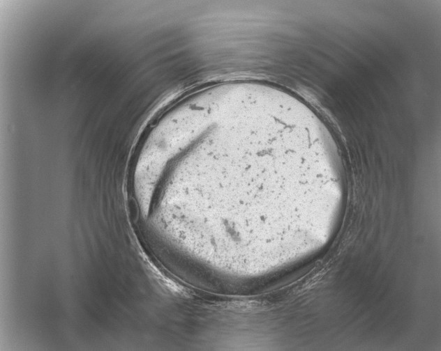 X0000058781189200510282003