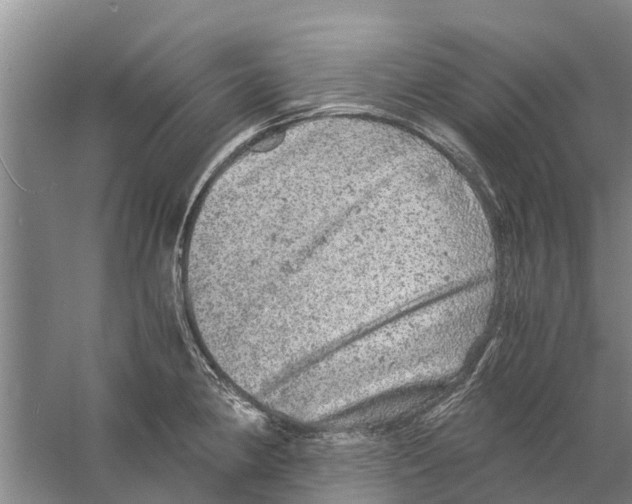 X0000058781190200510282003