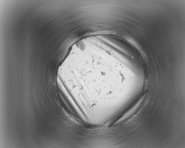 X0000058781193200510282003