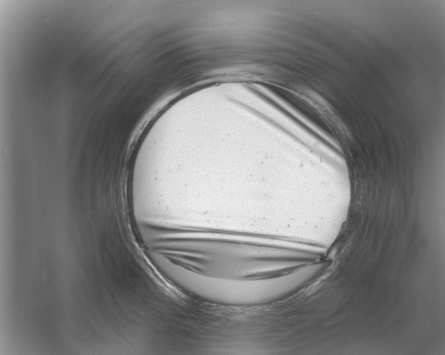 X0000058781196200510282003