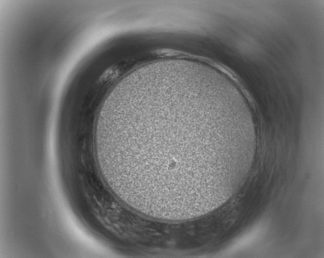 X0000058781199200510282003