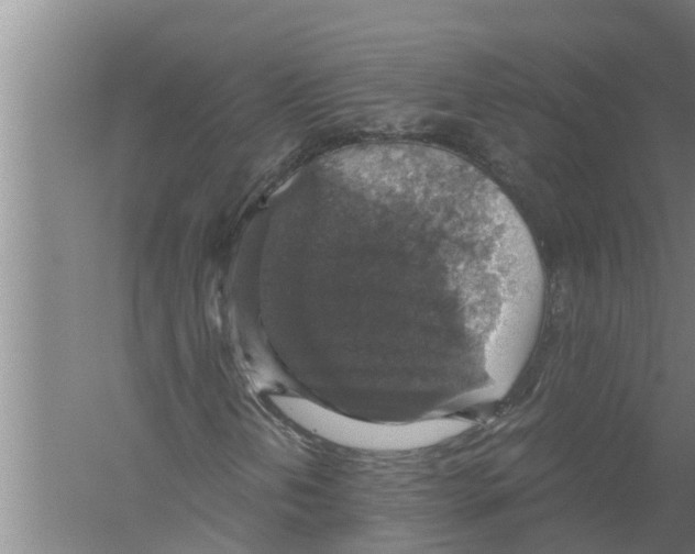 X0000058781202200510282002