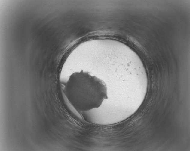 X0000058781213200510282002