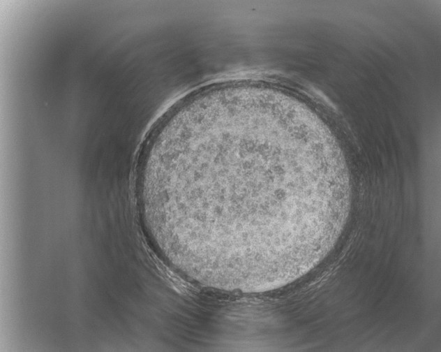 X0000058781216200510282002