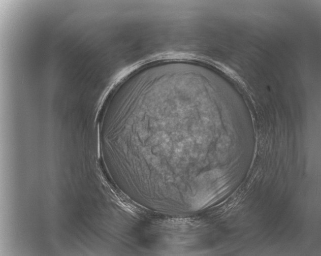 X0000058781223200510282002