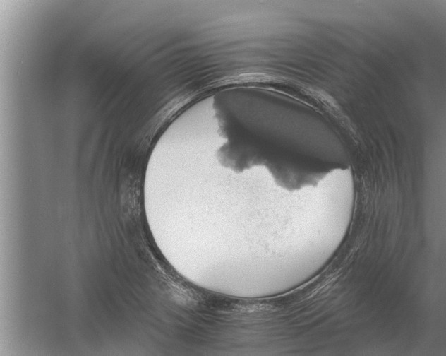 X0000058781225200510282002