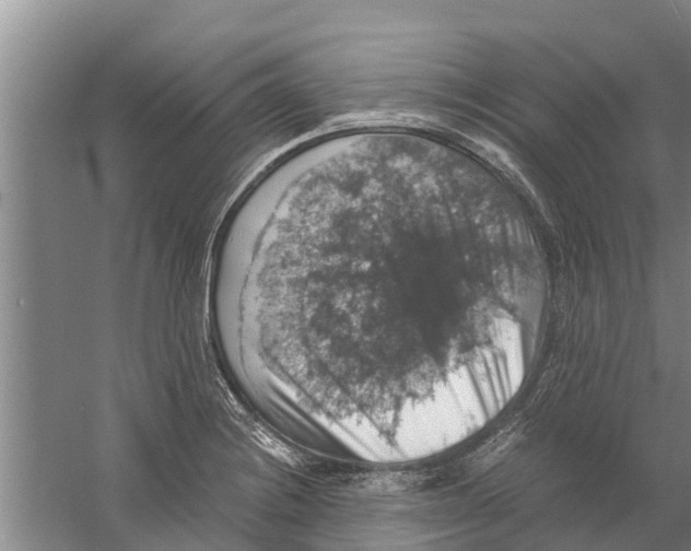 X0000058781228200510282002