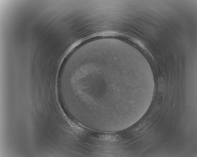 X0000058781229200510282002