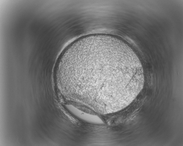 X0000058781230200510282002