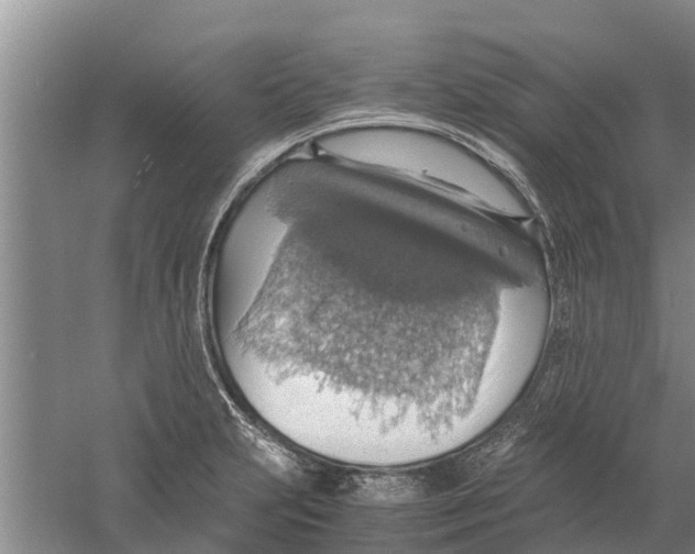 X0000058781231200510282002