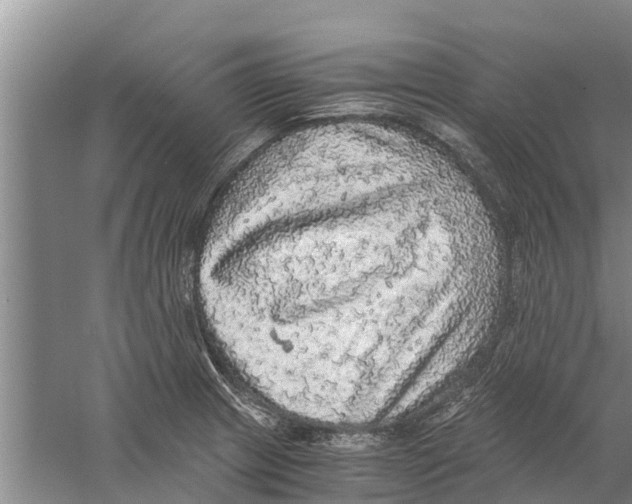 X0000058781233200510282002