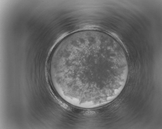 X0000058781235200510282002