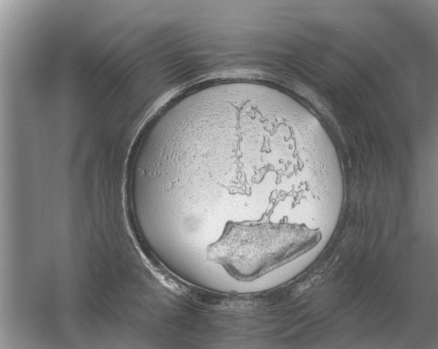 X0000058781237200510282002