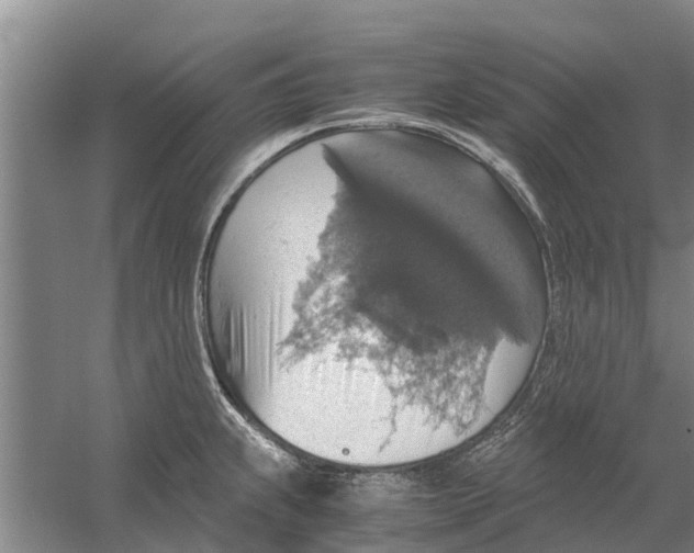 X0000058781239200510282002