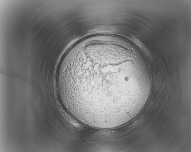 X0000058781240200510282002