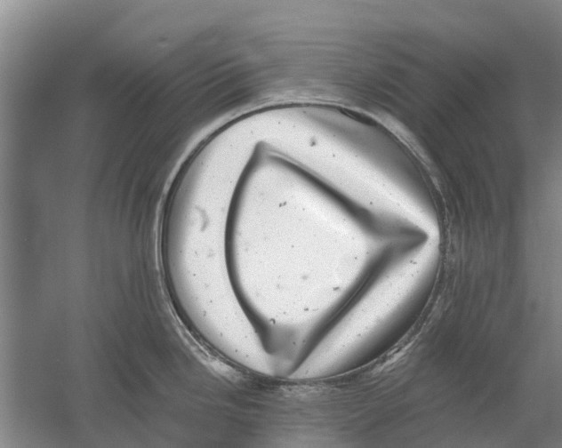 X0000058781246200510282002