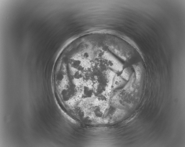 X0000058781247200510282003