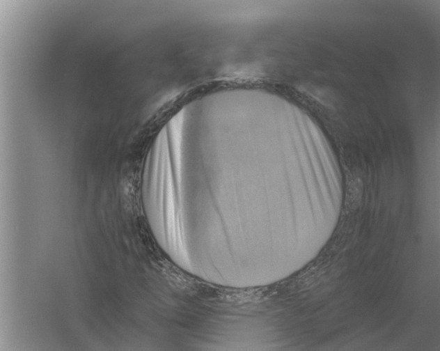 X0000058781254200510282002