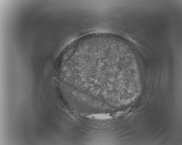 X0000058781255200510282002