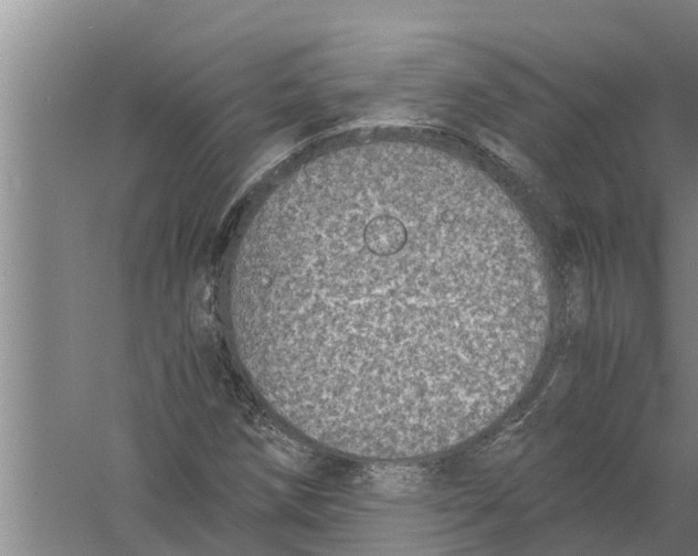 X0000058781258200510282002