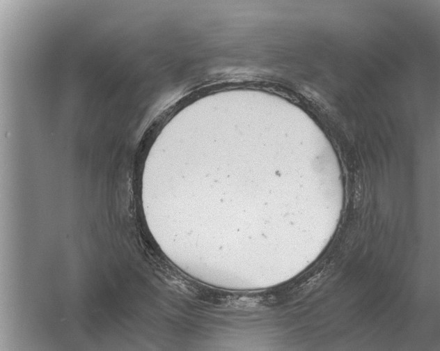 X0000058781261200510282001