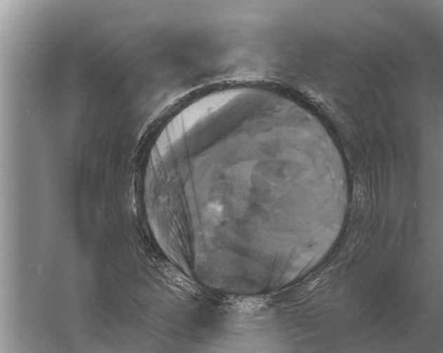 X0000058781262200510282001