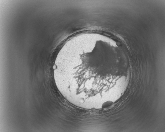 X0000058781263200510282001