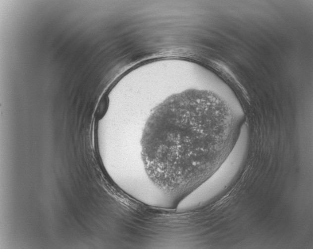 X0000058781276200510282001