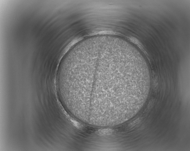 X0000058781282200510282001