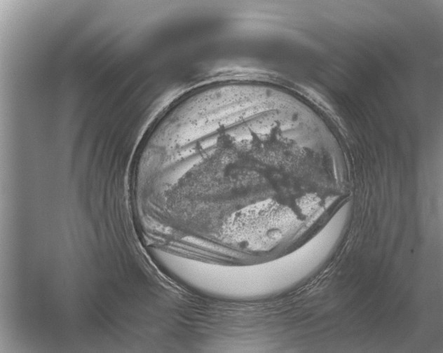 X0000058781283200510282001