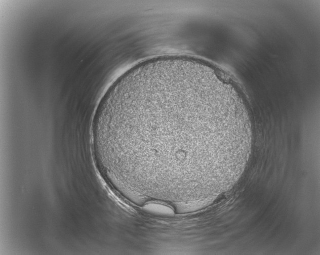 X0000058781287200510282001