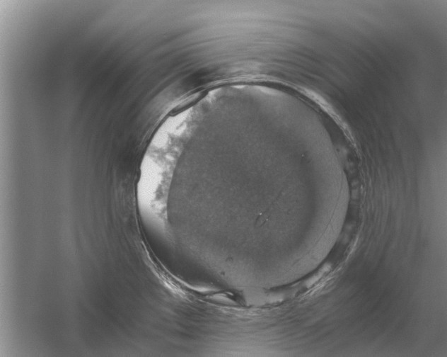 X0000058781289200510282001