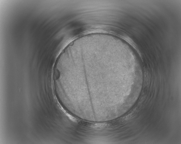 X0000058781290200510282001