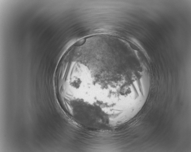 X0000058781291200510282001