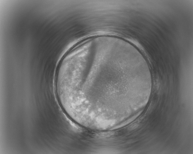 X0000058781294200510282001