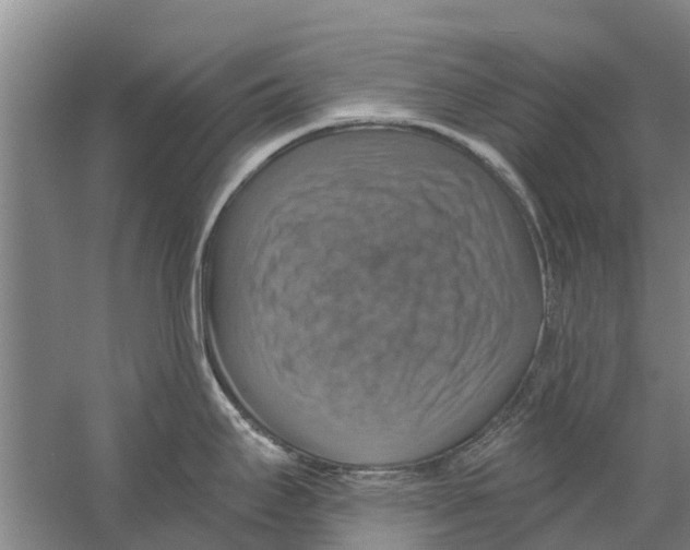 X0000058781295200510282001