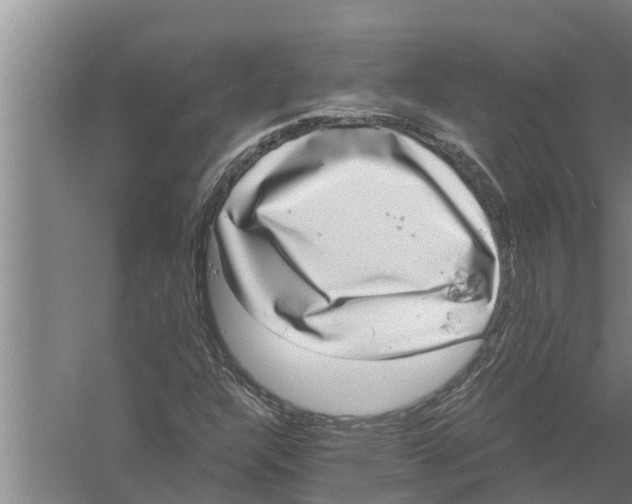 X0000058781304200510282000