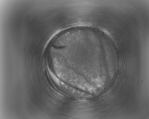 X0000058781310200510282000