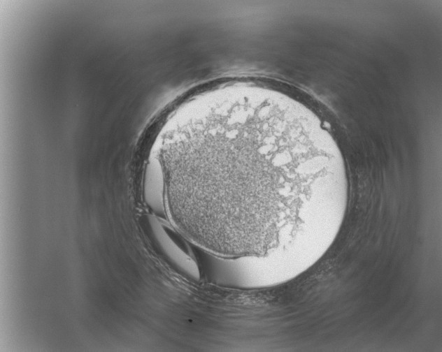 X0000058781311200510282000