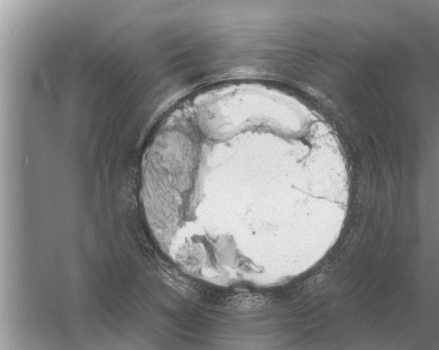 X0000058781314200510282000