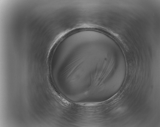 X0000058781319200510282000